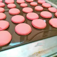 French macarons|Tezu Ropezuさん