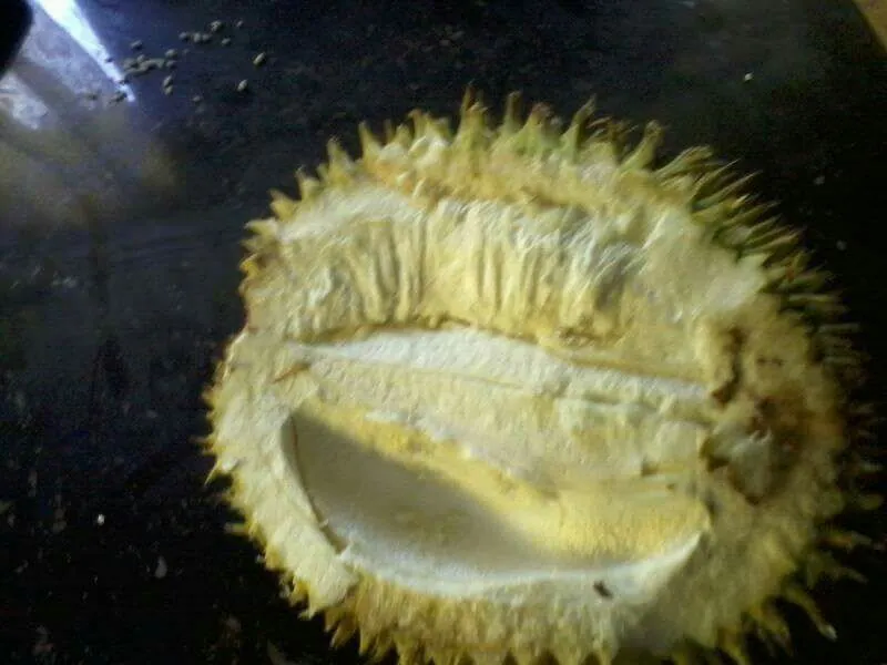 this fruit is yummy but bad smell...:-) :-) :-)....,(durian)'''good morning all..god bless everybody......|lynnさん