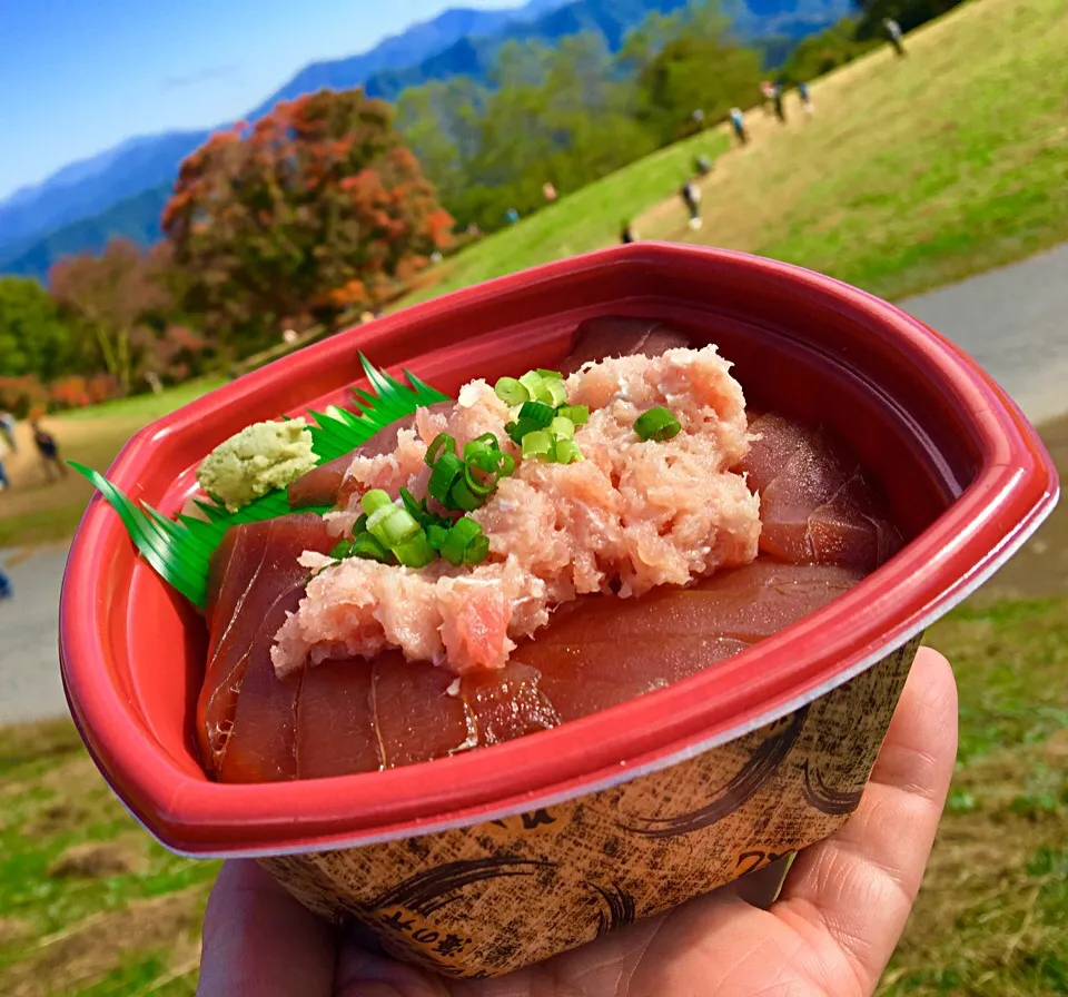 昼ごはん マグロヅケとネギトロ丼|ぽんたさん