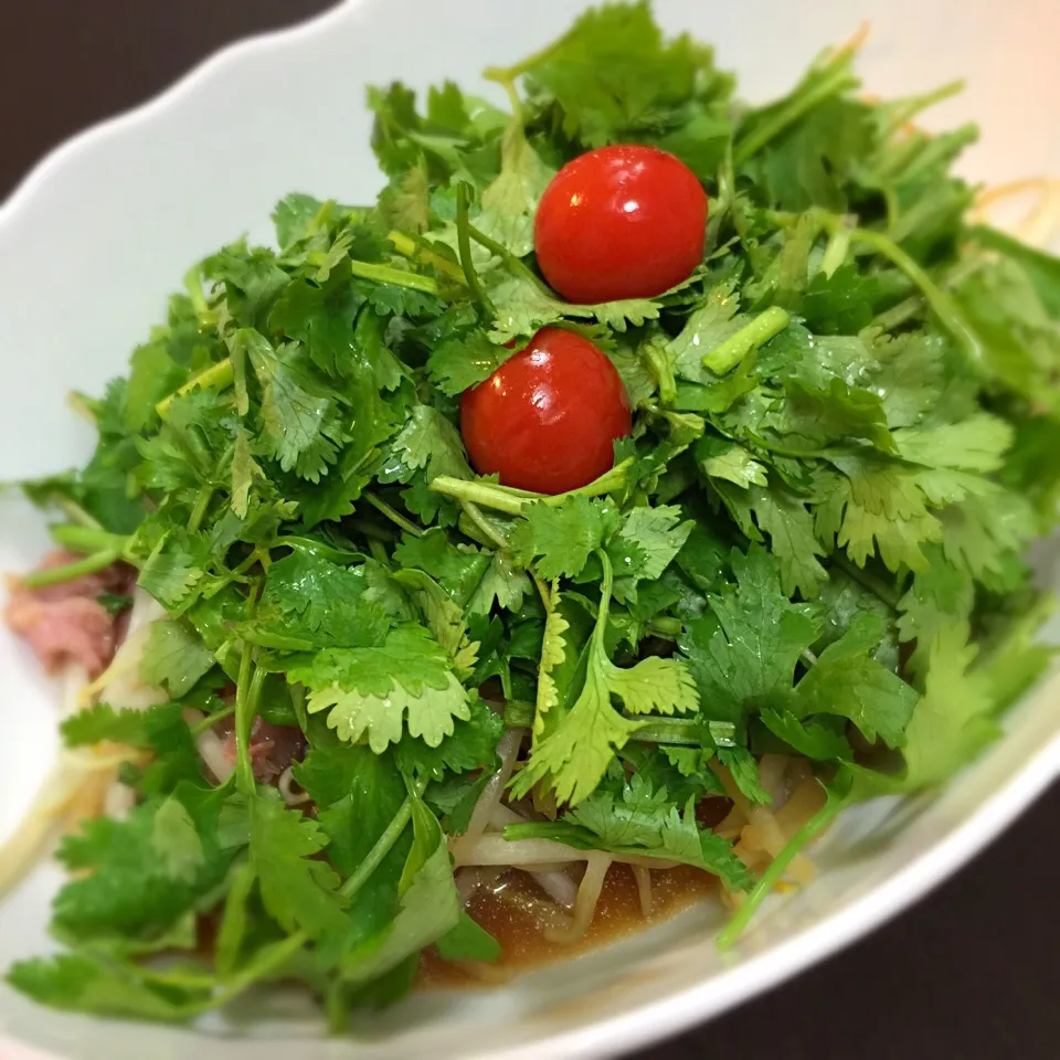 パクチーそうめん！麺は埋もれて見えません(笑)|リュカさん