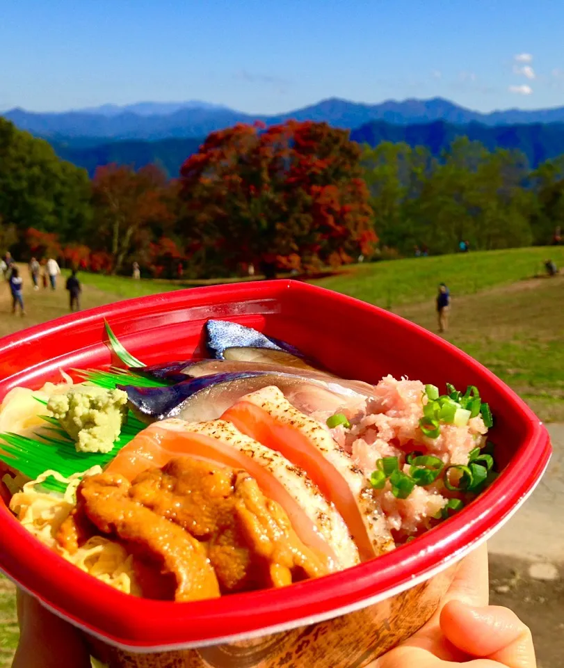 昼弁当  日替わり丼。あぶりサーモン、しめ鯖、ネギトロ、ウニだけがマズい…|砂雪さん