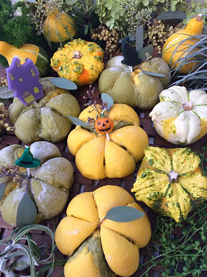 Pumpkin patch🎃🎃🎃 Halloween Pumpkin & Matcha bread*|⋆͛*͛wandering.cat⋆͛*͛さん