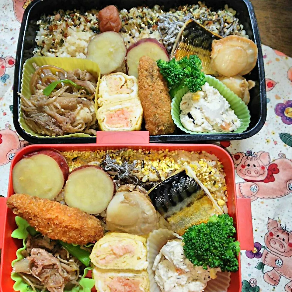 旦那、娘弁当🍱
   塩さば   ベビーホタテ
   マヨめんたい卵焼き|miimiさん