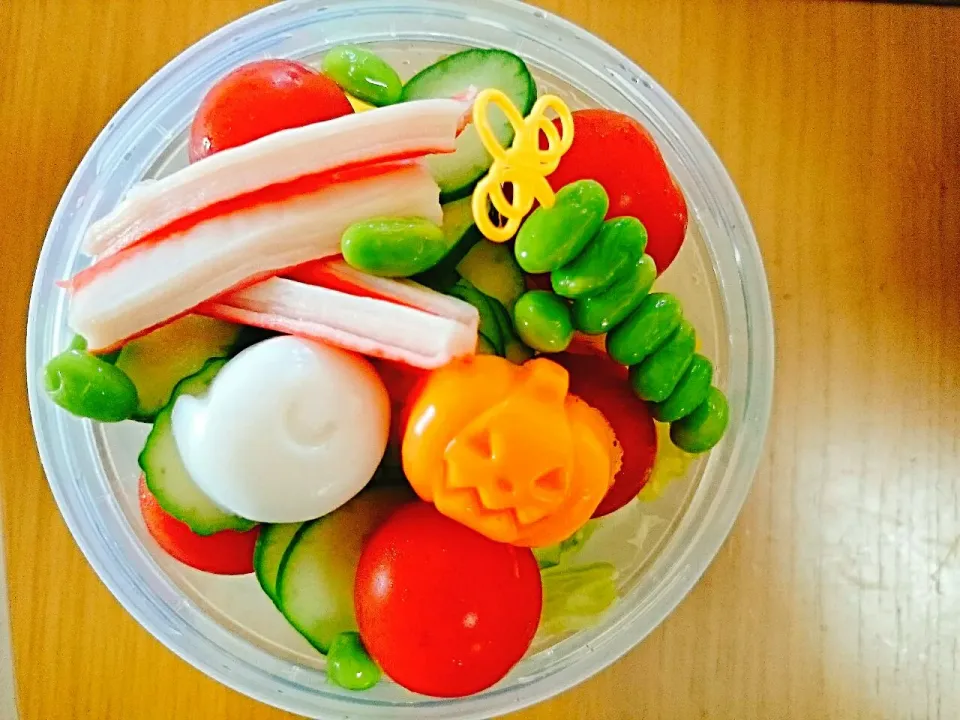 16*10*27  salad Box|hilocoさん