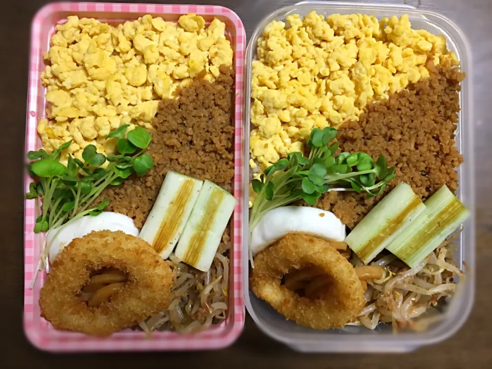 鶏そぼろ弁当|marimoさん