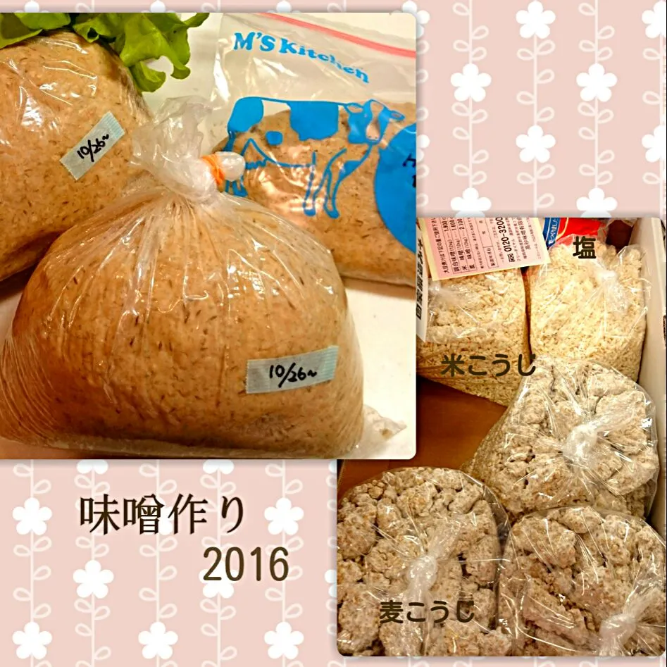 今年の味噌仕込み (袱紗味噌)|うさかめさん