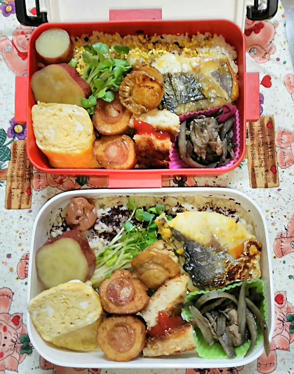 娘、私弁当🍱
  さわら西京焼き

きんぴらごぼう  鉄のフライパンで作ったら黒ーくなりました😚|miimiさん