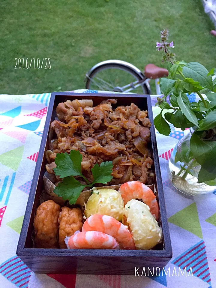 息子くん弁当♪豚の生姜焼き〜〜|ゆきさん