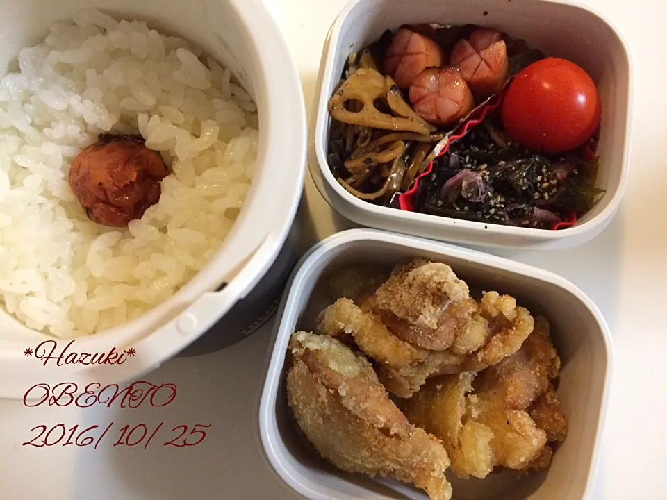 Snapdishの料理写真:10月28日(月) 高校生息子🍱🍱＆旦那🍱|Hazukiさん