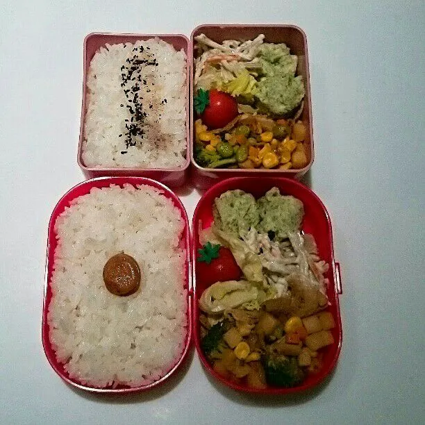 10/29(土)の二人弁当🍱|ふみぃさん