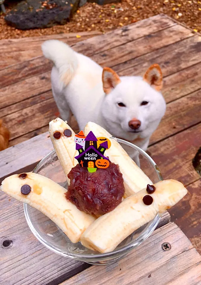 Snapdishの料理写真:おばけ👻バナナ🍌デザート🎃ハロウィンバージョン  🐶トニー君🐾|きゅうちゃんさん