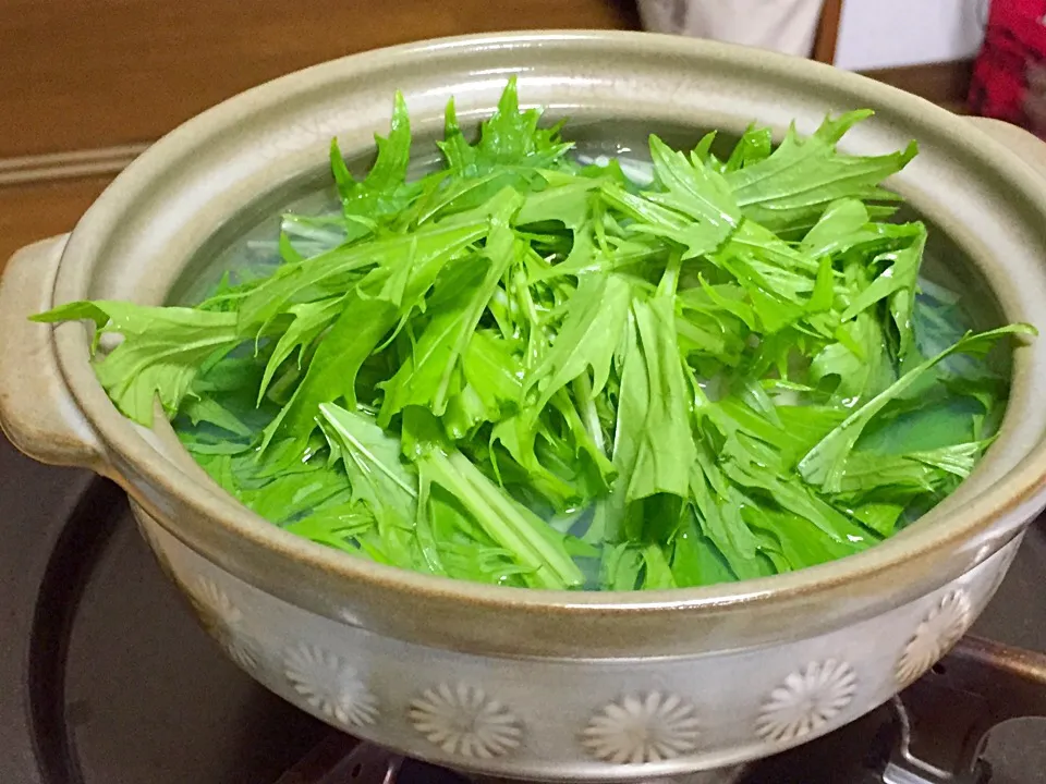 帆立の貝柱の出汁で、水菜たっぷり湯豆腐!  (^-^)|Kei Satoさん