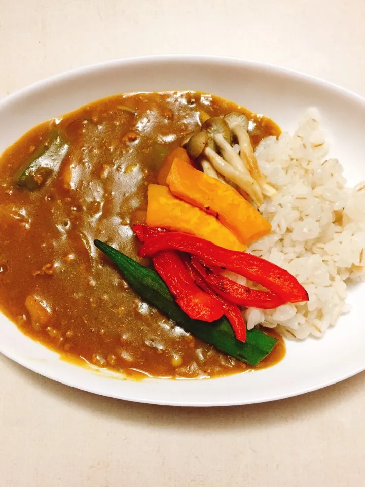 Dinner 10.29
Vegetable Curry|moonmoonさん