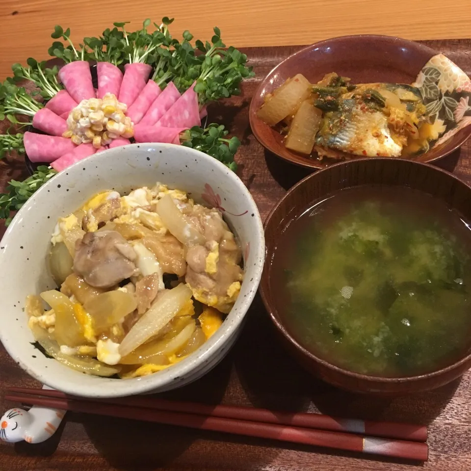 2016.10.29 晩御飯 親子丼|あっきーよさん