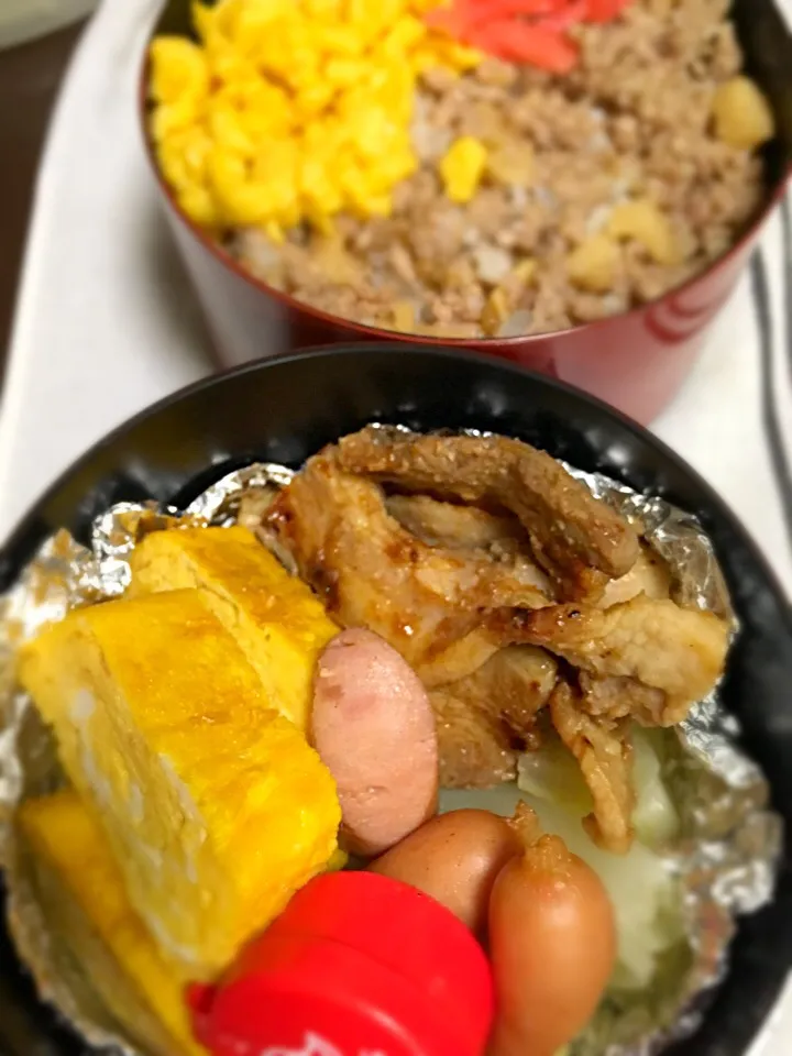 Snapdishの料理写真:息子の部活弁当。焼きトン、だし巻き、蒸しキャベツ、そぼろご飯。|もじゅさん