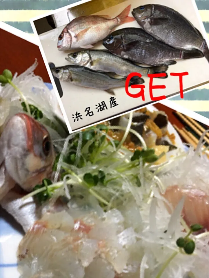 釣った魚の姿盛り|隆司さん