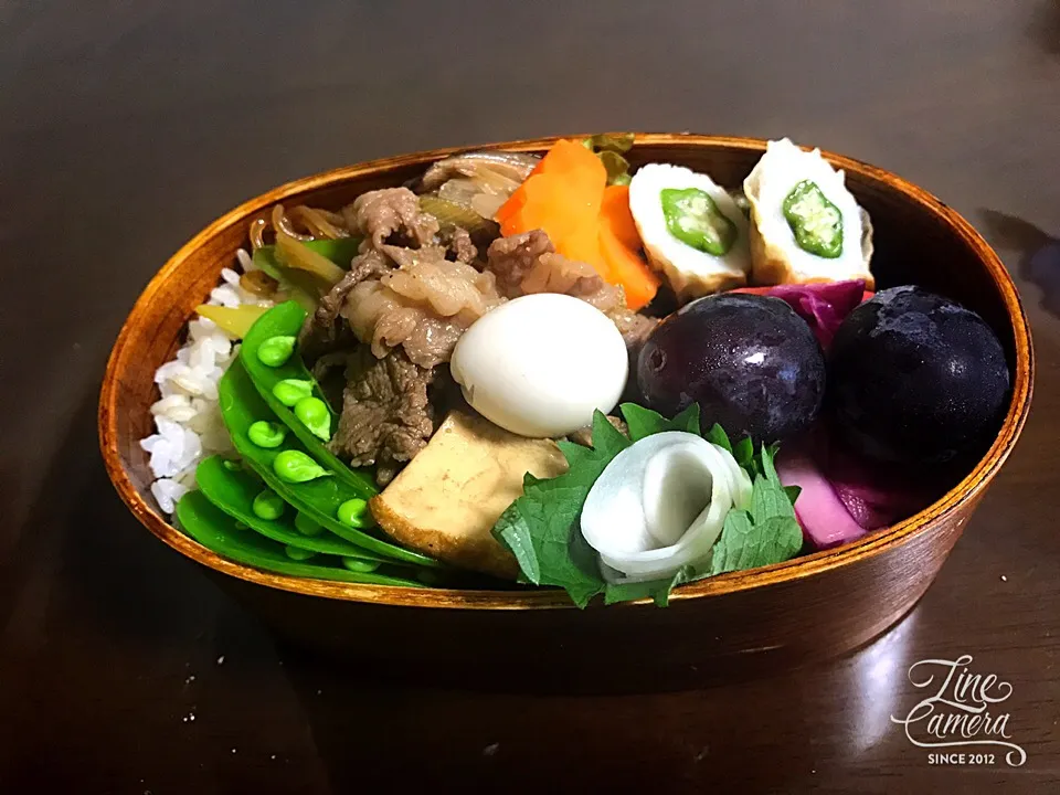 今日の私のお弁当🍱 牛丼風です( ´∀｀)
前々からいいなあって٩(๑❛ᴗ❛๑)۶|とんちんさん