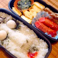 Snapdishの料理写真:ハロウィン弁当|いくやまさん