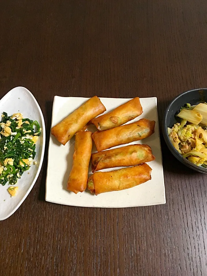 Snapdishの料理写真:10月31日夕飯 白身魚の春巻 白菜とツナの煮物 ほうれん草と卵のナムル|やすこさん