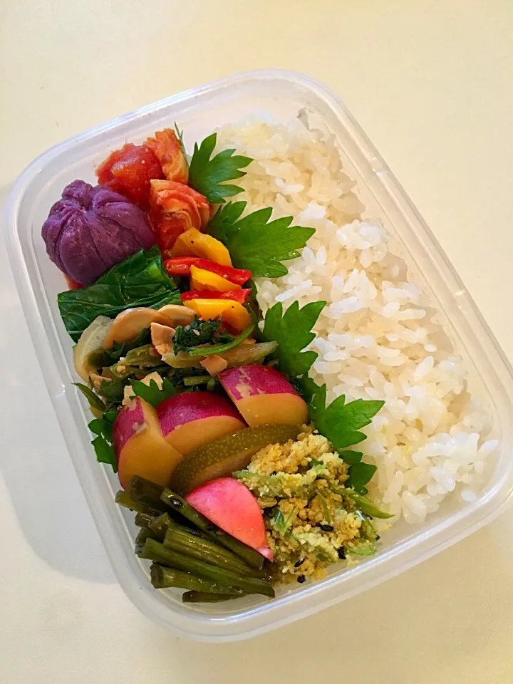 Vegan お弁当🍱2016/11/1|RISARISAさん