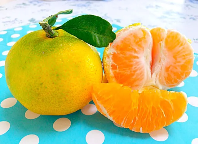 私の庭で新鮮なミカン - Fresh mikan in my garden😋❤️✨|Liezlさん