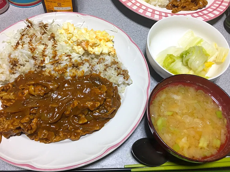 もち麦飯ポークフルーティカレーライス、玉子サラダ、キャベツ #One-Plate Dish 白菜、じゃがネギ味噌汁|ms903さん