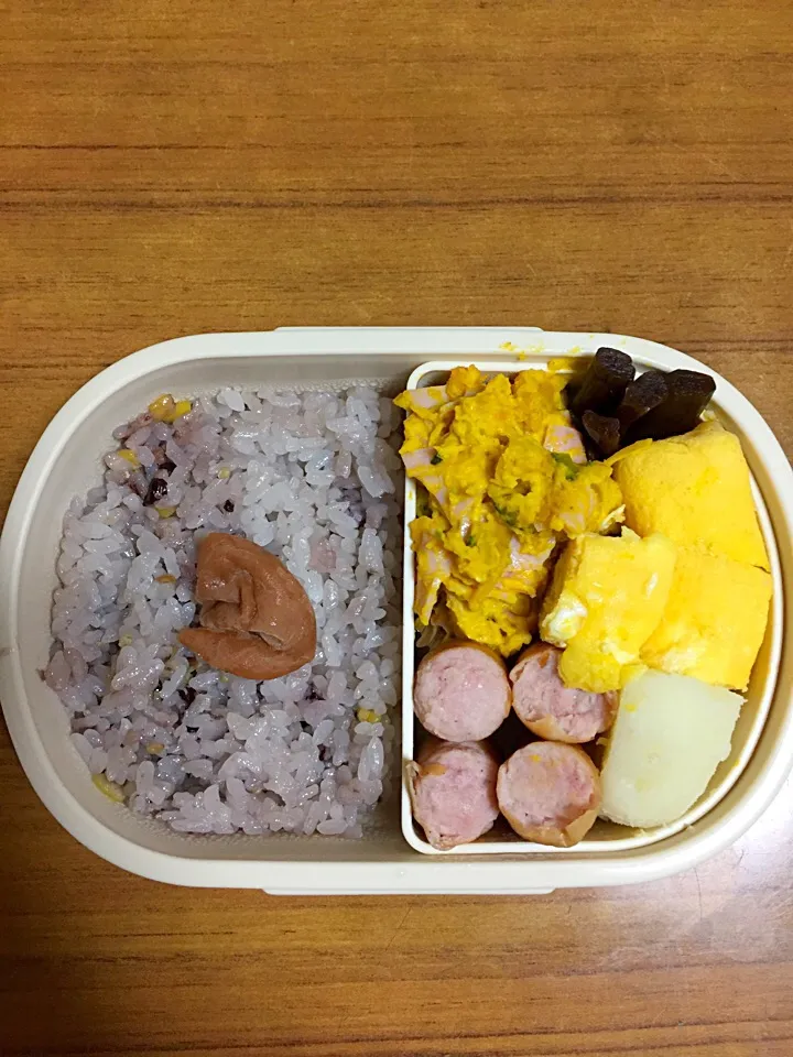 11月2日のお弁当🎨|himeさん