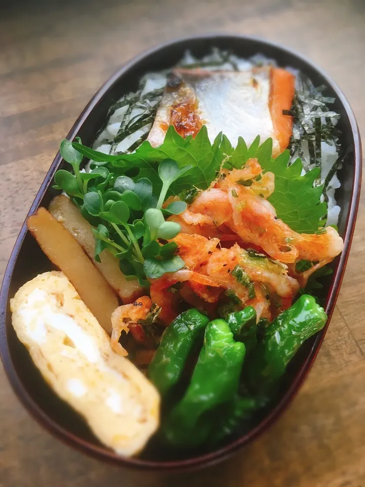 今日のお弁当
・桜海老のかき揚げ
・だし巻き卵
・ししとうの胡麻油炒め
・さつま揚げの生姜煮
・焼塩鮭|akiさん