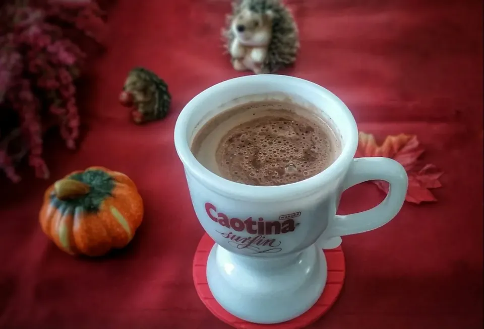 warm hot chocolate with nice Swiss Caotina powder served in original mug|Najeskaさん