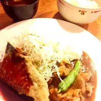 Snapdishの料理写真:さわらの天ぷらとチキンのカレー煮|中野忠さん