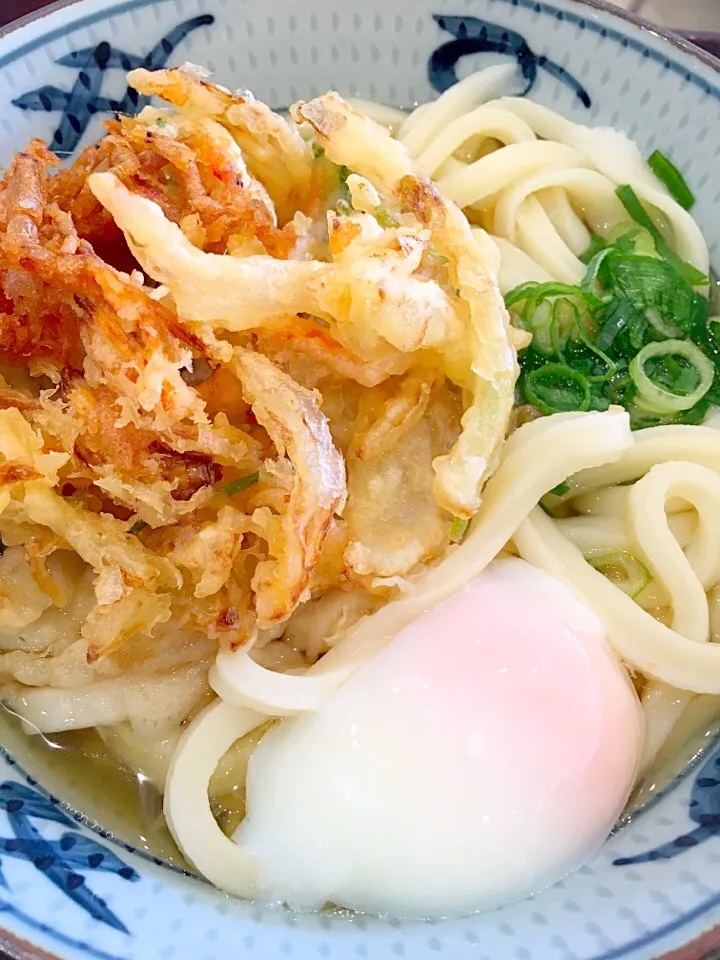 讃岐うどん  かき揚げと温泉卵をトッピング|zeroweb_bossさん