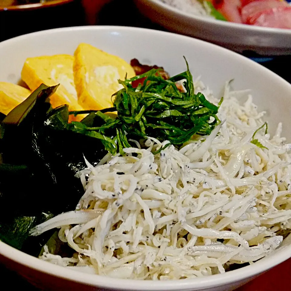 釜揚げしらす丼|ふりるさん