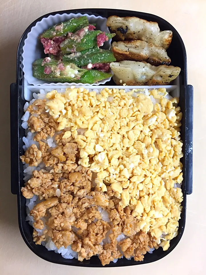 Snapdishの料理写真:お弁当／男子高校生|nayutaさん