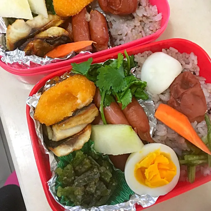 サバと五穀米のお弁当|jambirkinさん