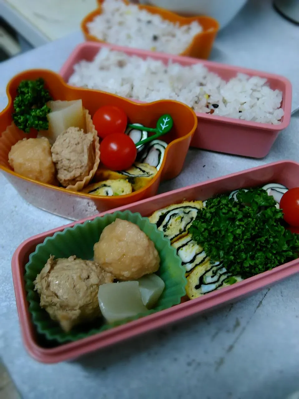 女子高生と幼稚園児のお弁当|せおりつさん