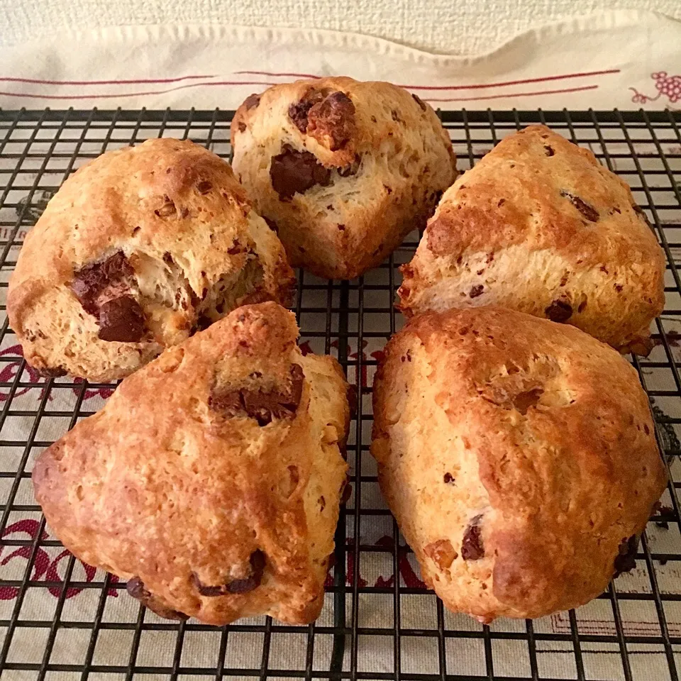 Starbucks Copycat: Walnut Chocolate Chunk Scones
＊チョコチャンクくるみスコーン|Miboさん