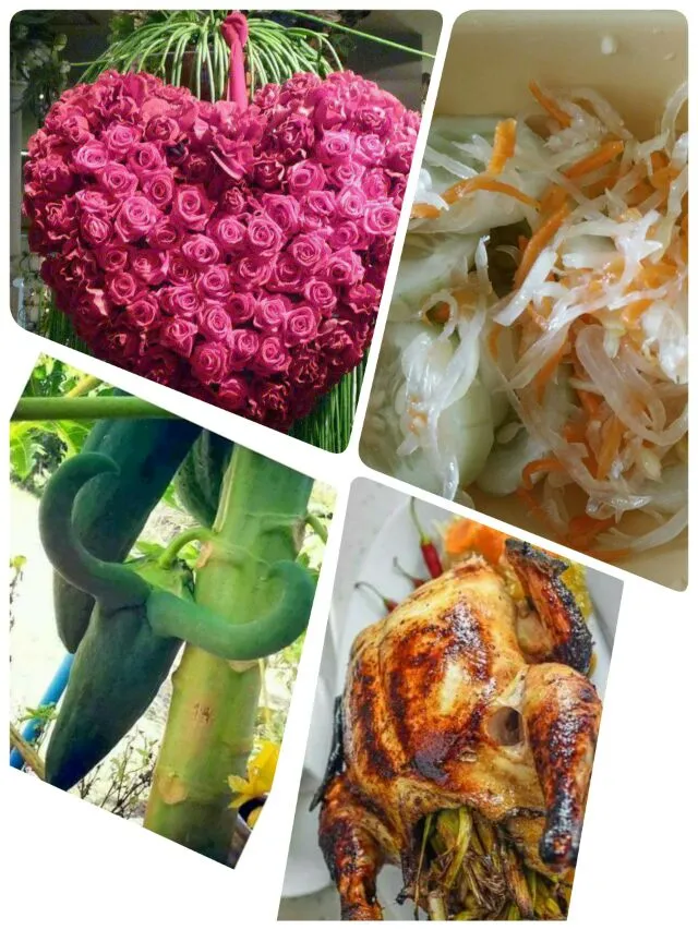 making my own atsara..from.green papaya with cucumber...roasted chicken.with lemon grass inside....:-) :-) :-)|lynnさん