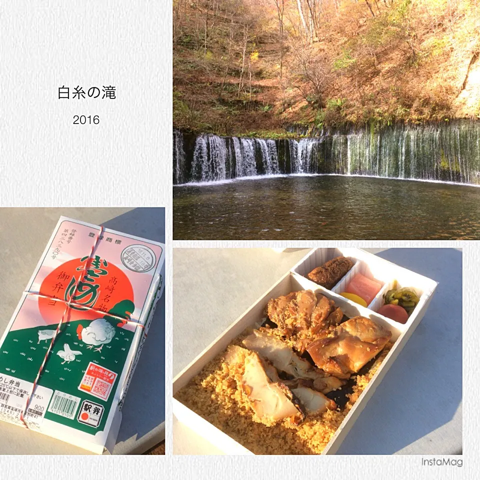 Snapdishの料理写真:お昼ご飯は、名物(群馬県)？「とり飯弁当」😋|アライさんさん