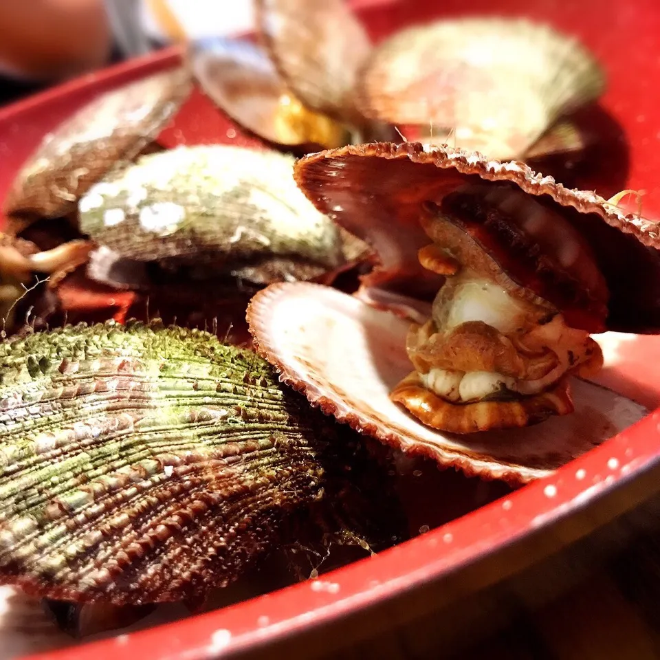 アカザラ貝のワイン蒸し🐚🍷|おかっぴーさん