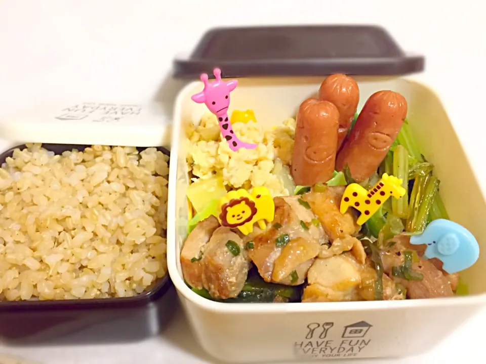 11/8のお弁当|しおり。さん