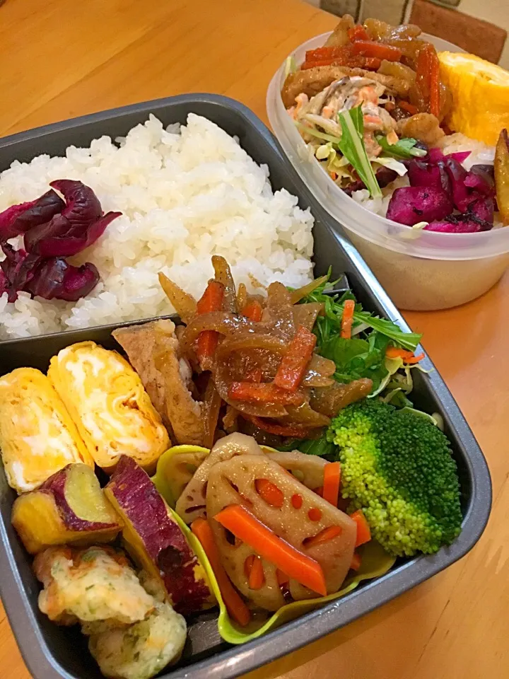 11月8日のお弁当🍱(^○^)|美也子さん