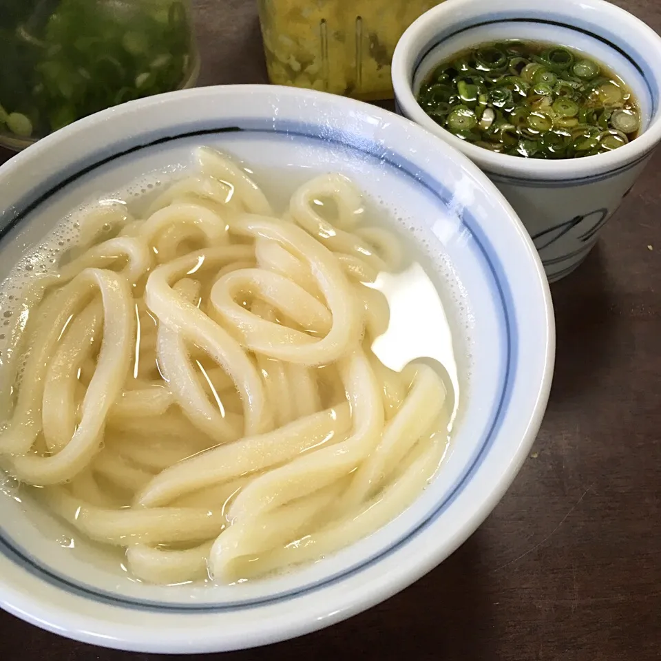 釜揚げうどん/長田in香の香|DOBBYさん