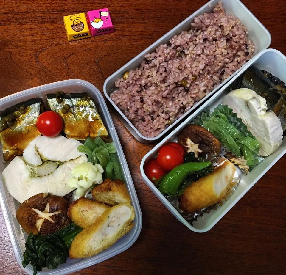 11/9 お弁当|もっちさん