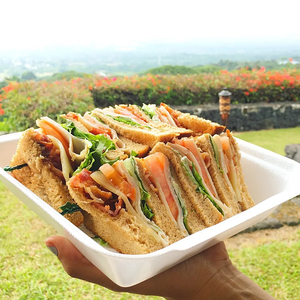 🌺🍹Clubhouse Sandwich🌴🌈|leeさん