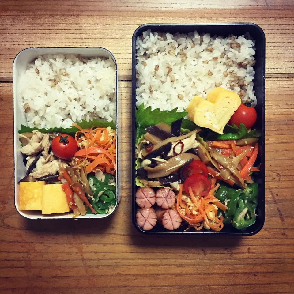 2016.11.10|はーさん