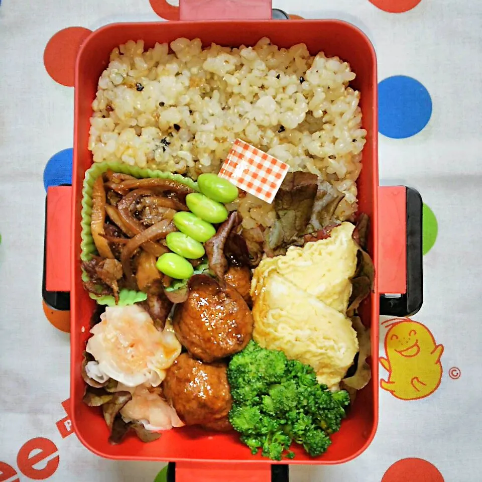 Snapdishの料理写真:娘弁当🍱
  大根の皮のきんぴら～

おでんに入れる大根の皮、あつめに
むいて一品！テレビでギャル曽根ちゃんが言ってました。|miimiさん