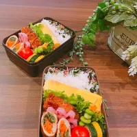 Snapdishの料理写真:ミートオムレツ弁当|ayaさん