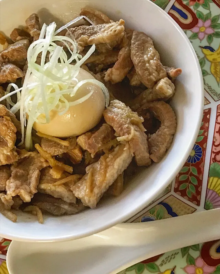 Snapdishの料理写真:めぐぴょんちゃんの料理 魯肉飯✨|nononkoさん