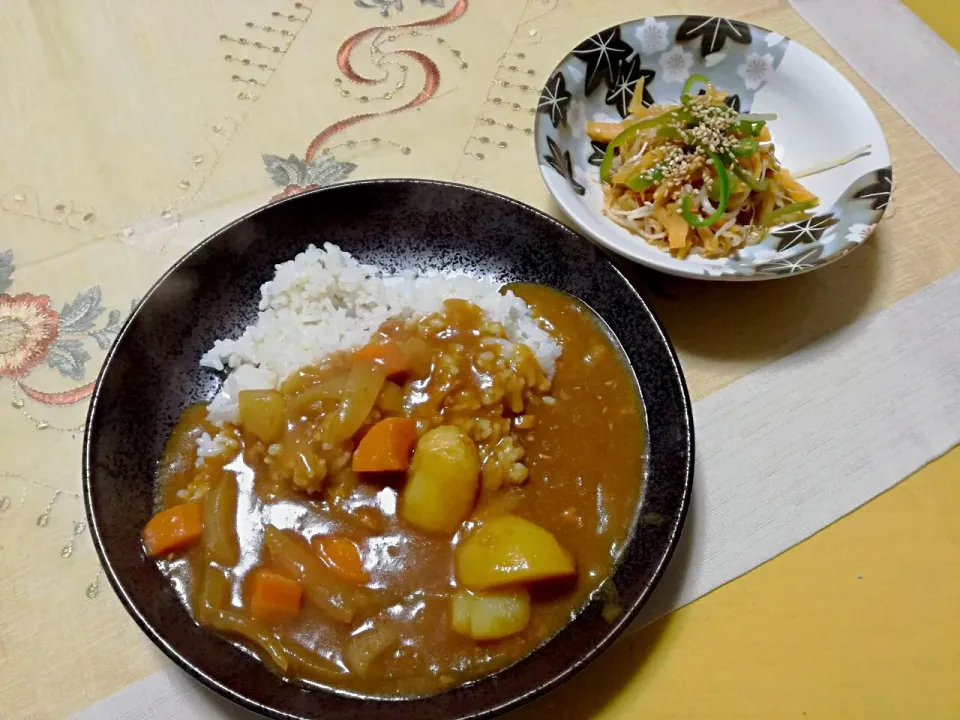 晩ごはん
  - 生ウコンと熟柿入りカレーライス🍛
  - 柿、もやし、ピーマンの炒め物|korinoさん