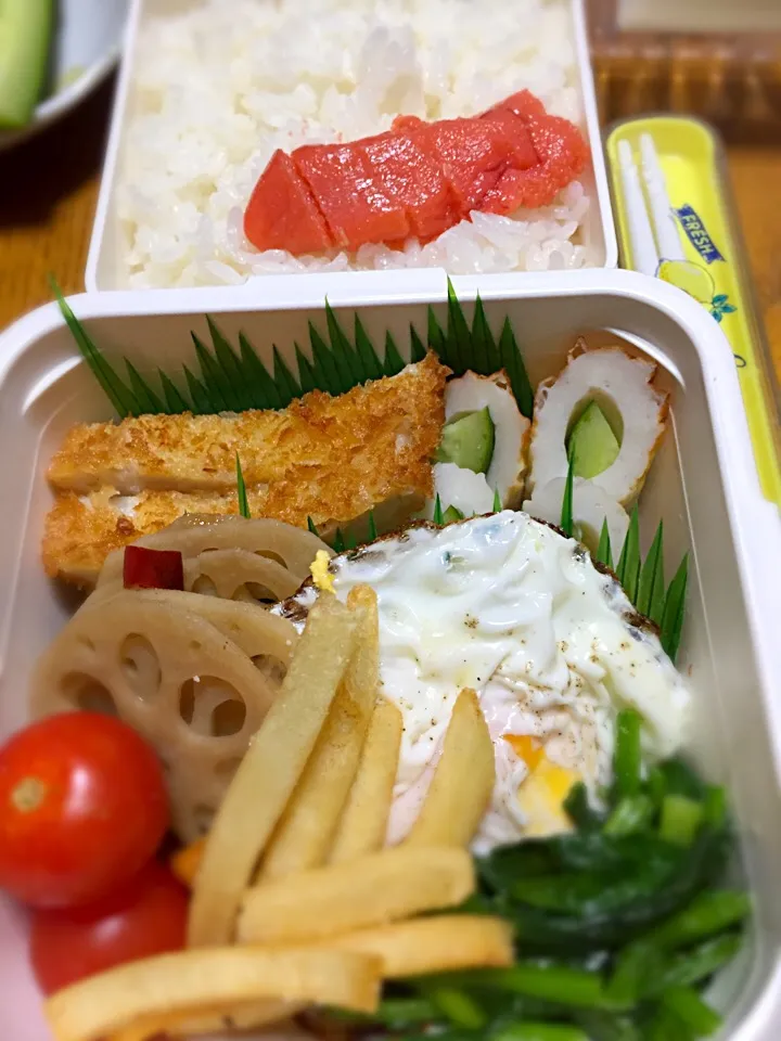 11月11日 豚カツ弁当🍱(ෆ ͒•∘̬• ͒)◞|かよっぺさん